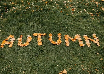 autum