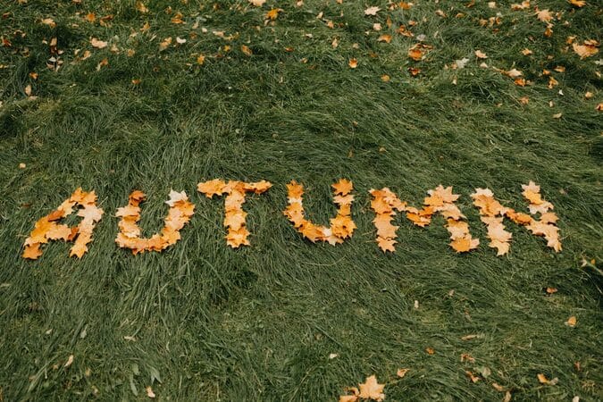 autum
