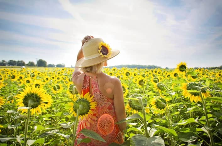 Bee-Friendly Flowers